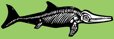 Ichthyosaurs